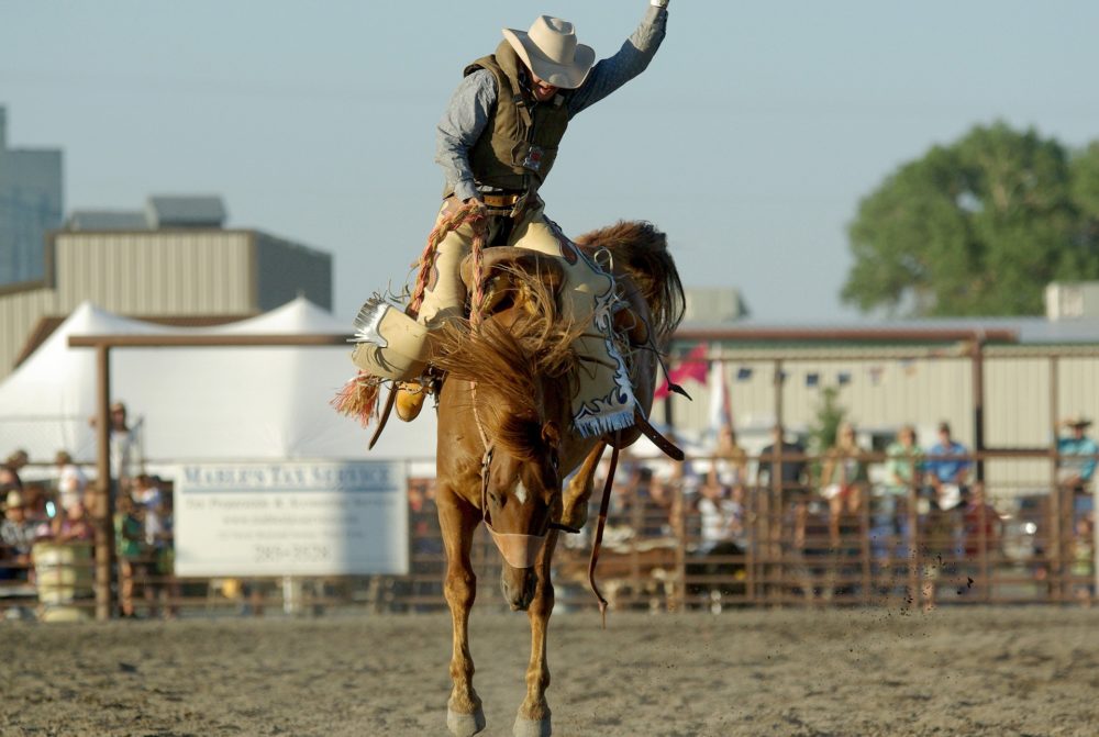 10 Things to do During the Calgary Stampede-cowboy-Visionary Catering