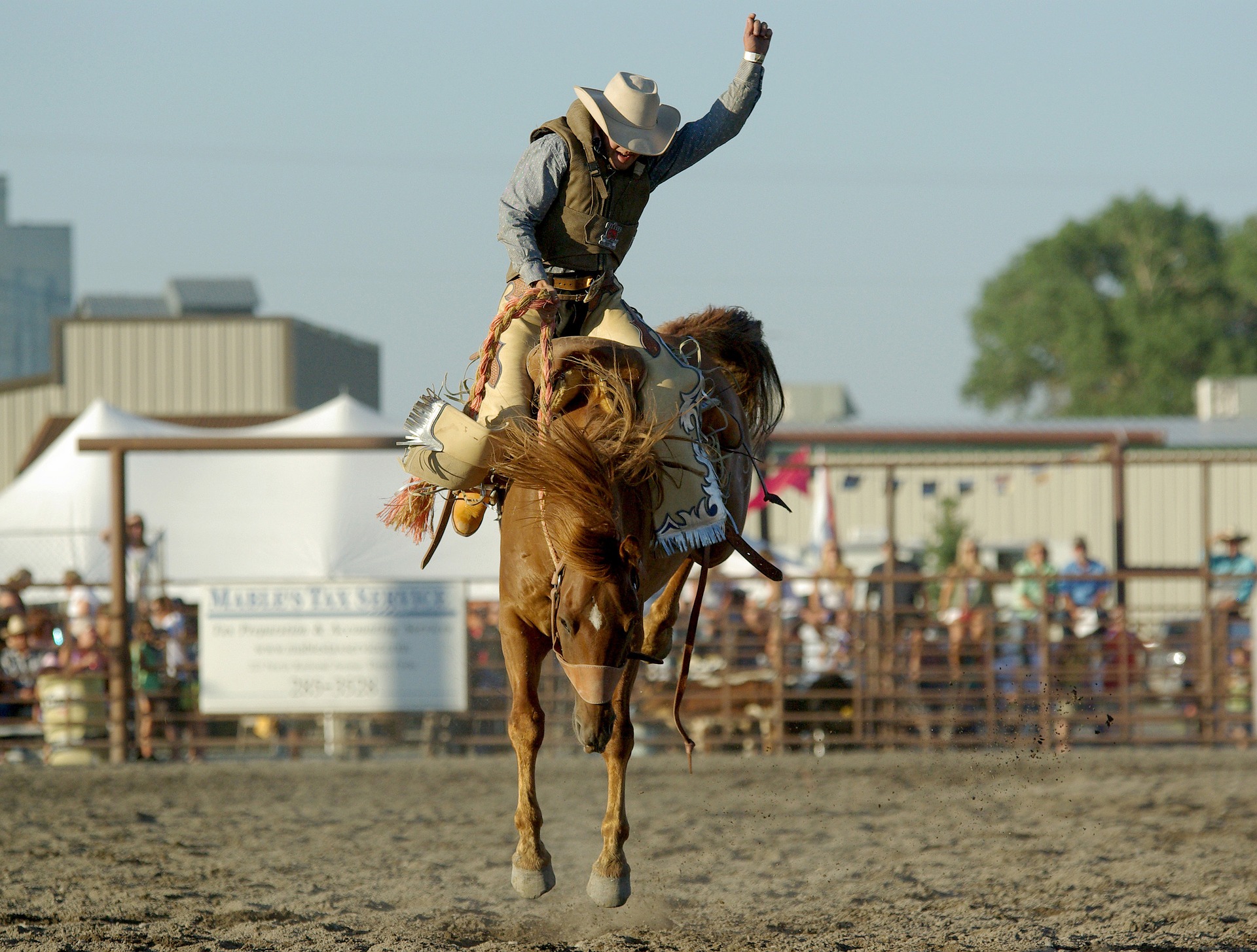 10 Things to do During the Calgary Stampede-cowboy-Visionary Catering
